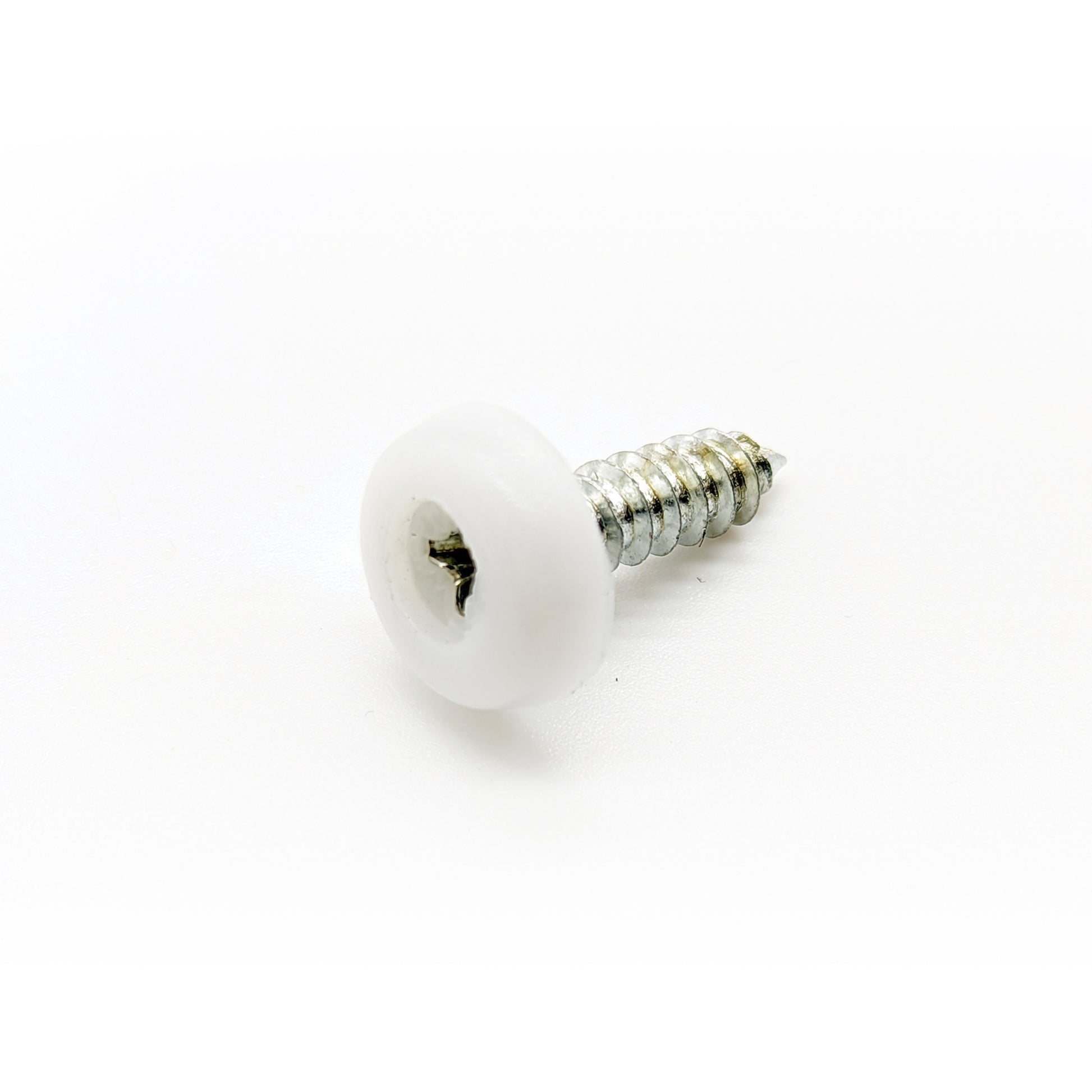 White Number plate Screws