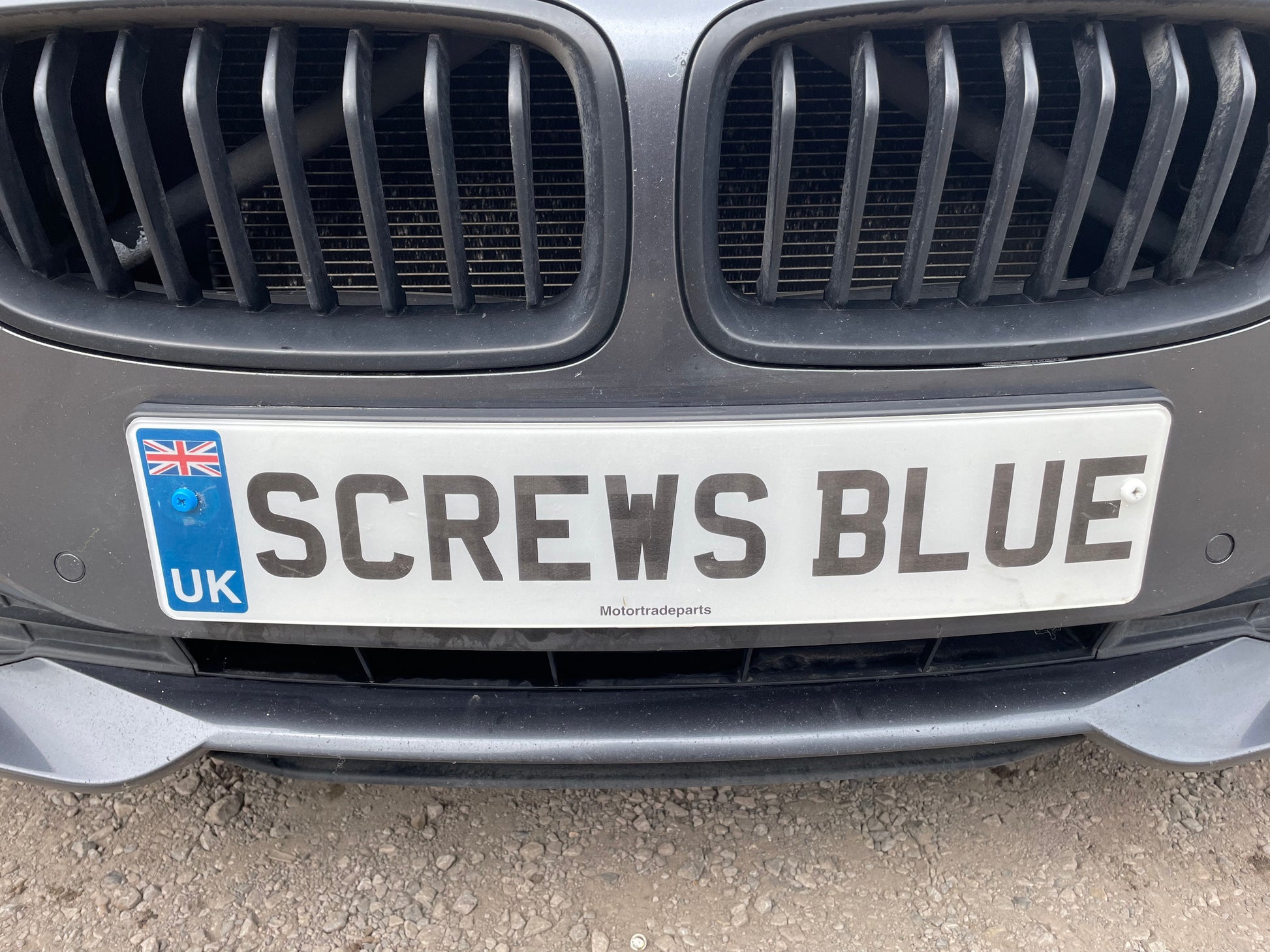 Number Plate Screws Blue